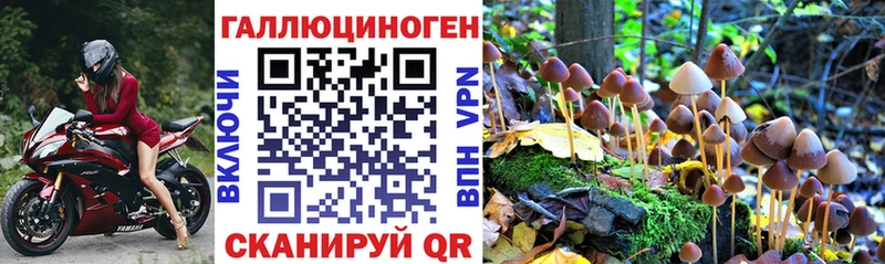 продажа наркотиков Новотитаровская Псилоцибиновые грибы MAGIC MUSHROOMS